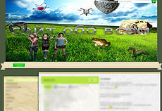 old wedsite